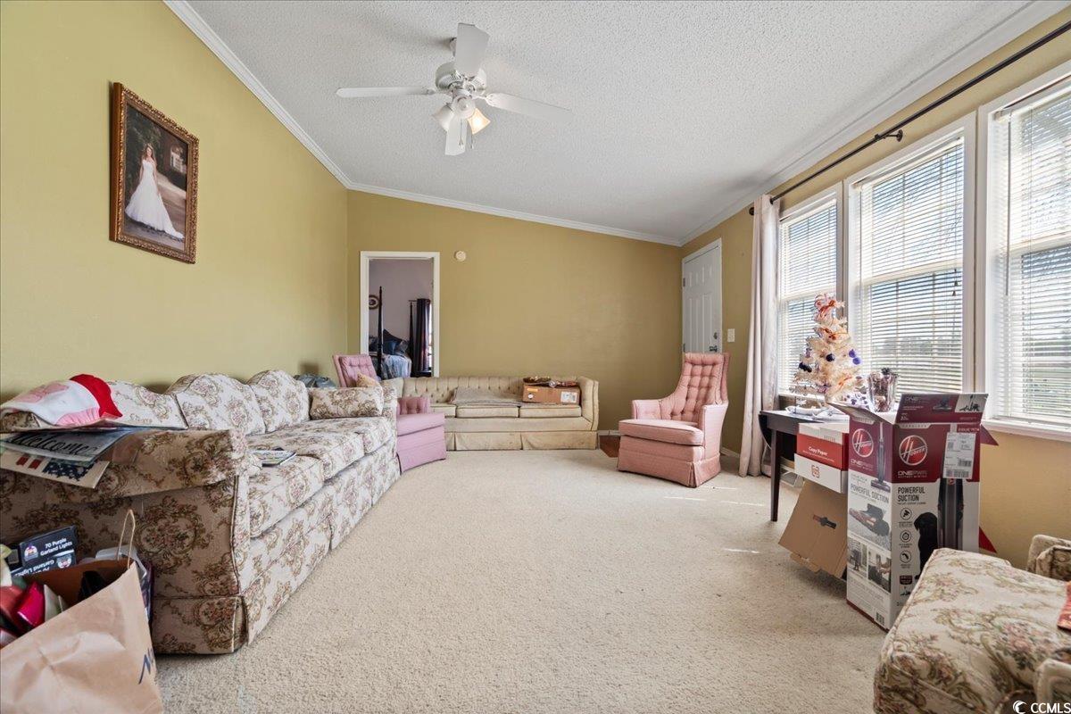 1130 Buck Swamp Road Fork, SC 29543 - Photo 4 of 35 Living area with a textured ceiling, lofted ceiling, ornamental molding, and a ceiling fan