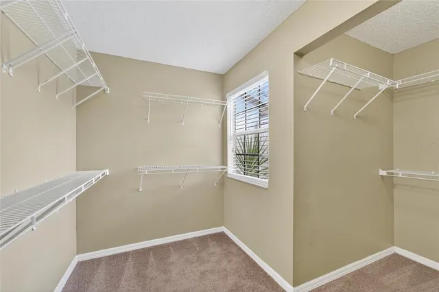 $2,400 | 4209 Brentwood Park Circle, Tampa, FL 33624