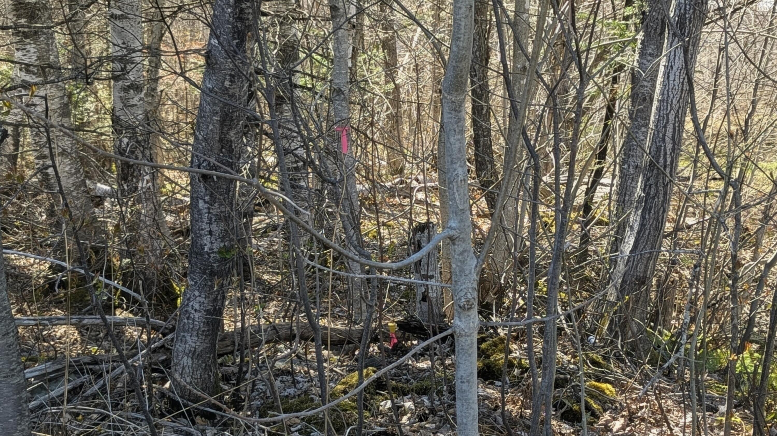 456 West Mills Road Industry, ME 04938 - Photo 2 of 10