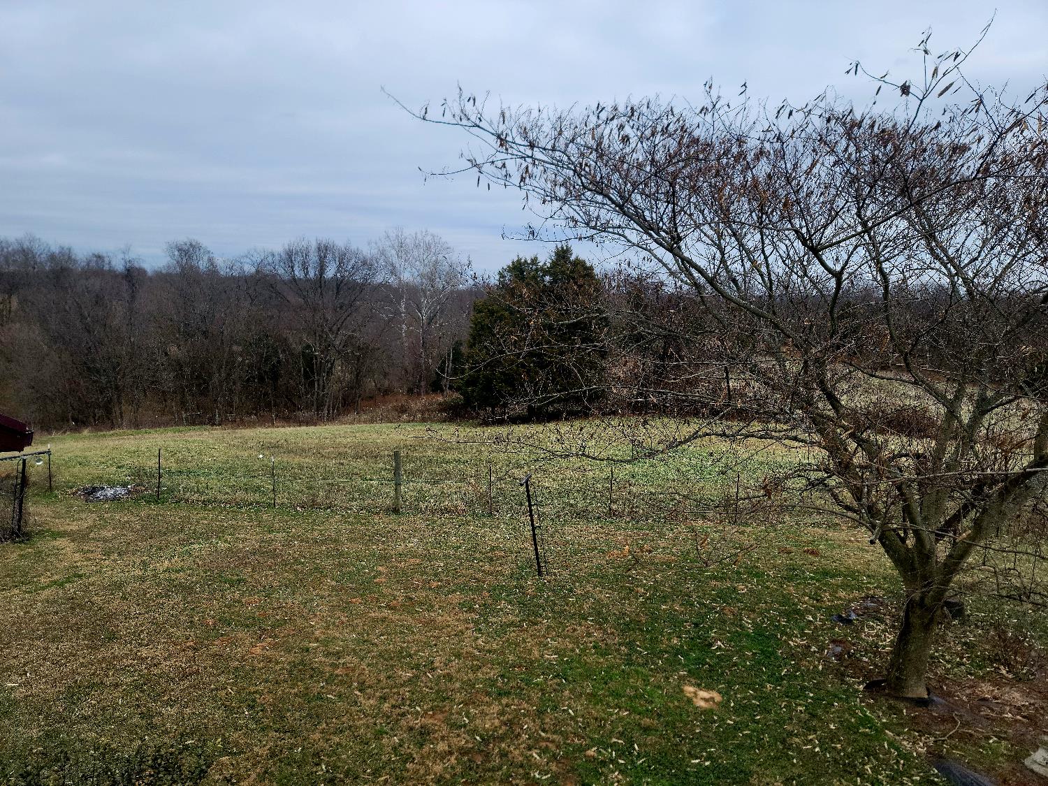 7972 Highway 56 Vevay, IN 47043 - Photo 37 of 56