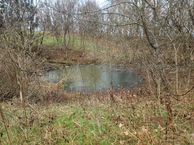 $369,500 | 7972 Highway 56, Vevay, IN 47043