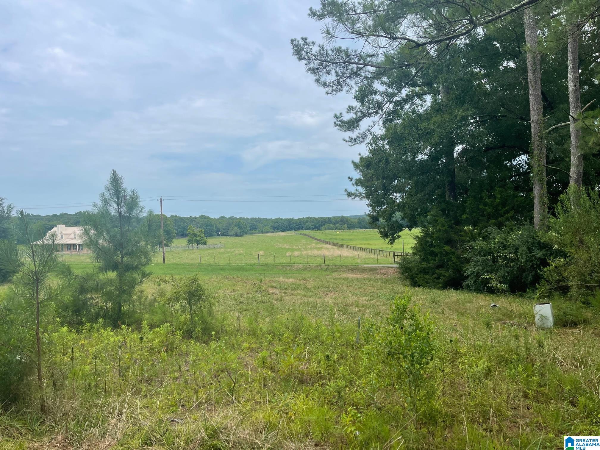 190 Silver Loop Road Columbiana, AL 35051 - Photo 15 of 21