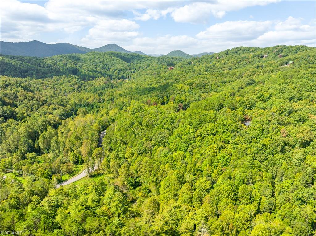 4062 Chamberlain Lane Sevierville, TN 37862 - Photo 41 of 42