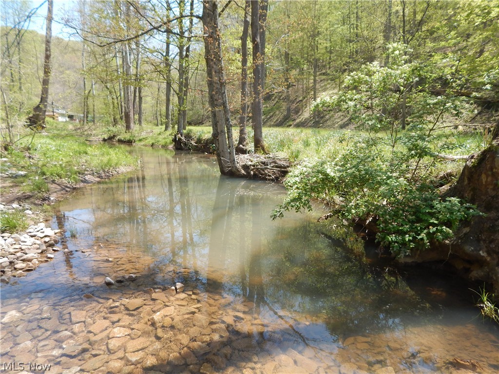 2746 Bean Ridge Smithville, WV 26178 - Photo 35 of 35