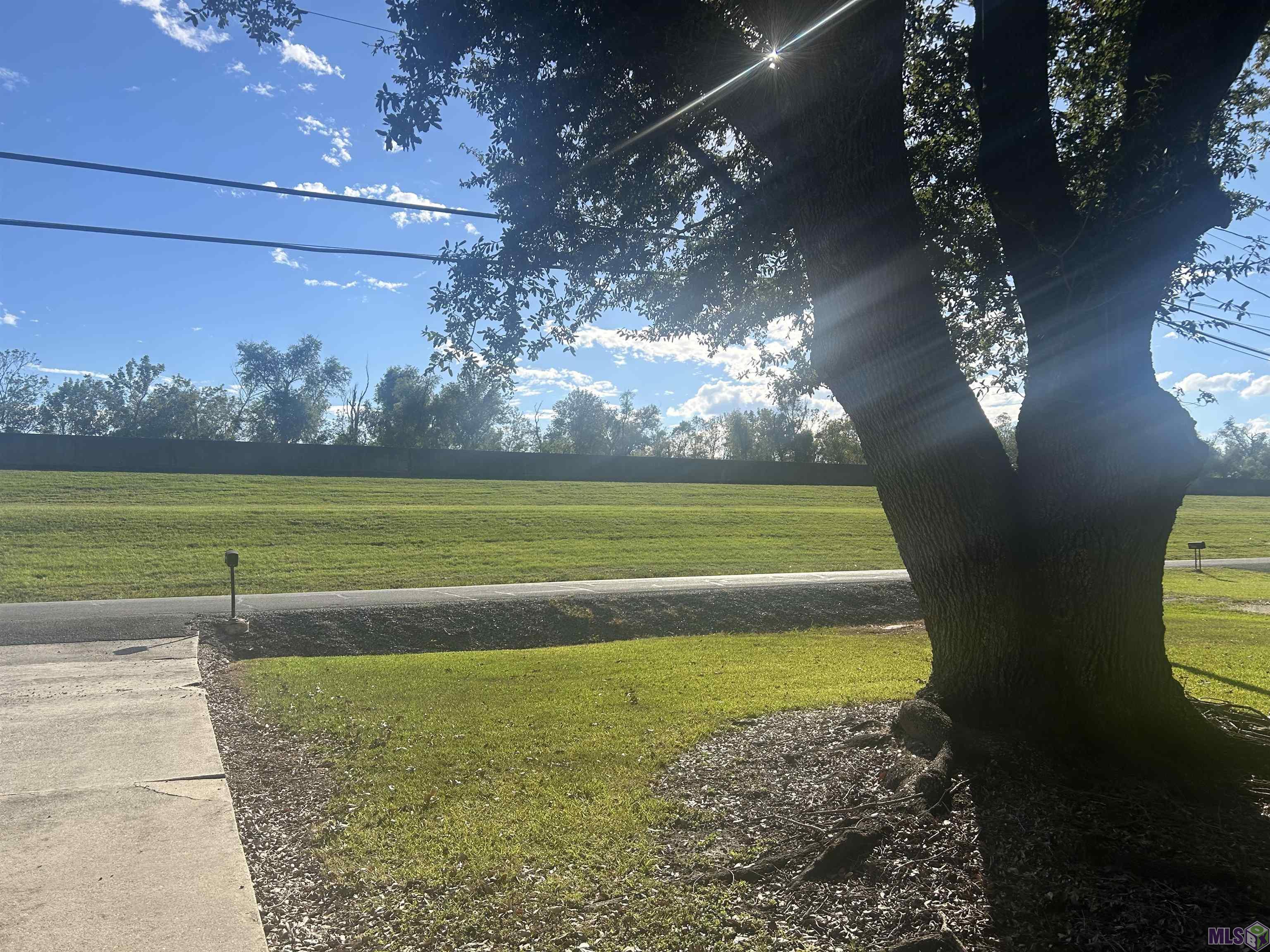 38925 Bayou Pigeon Road Plaquemine, LA 70764 - Photo 21 of 30