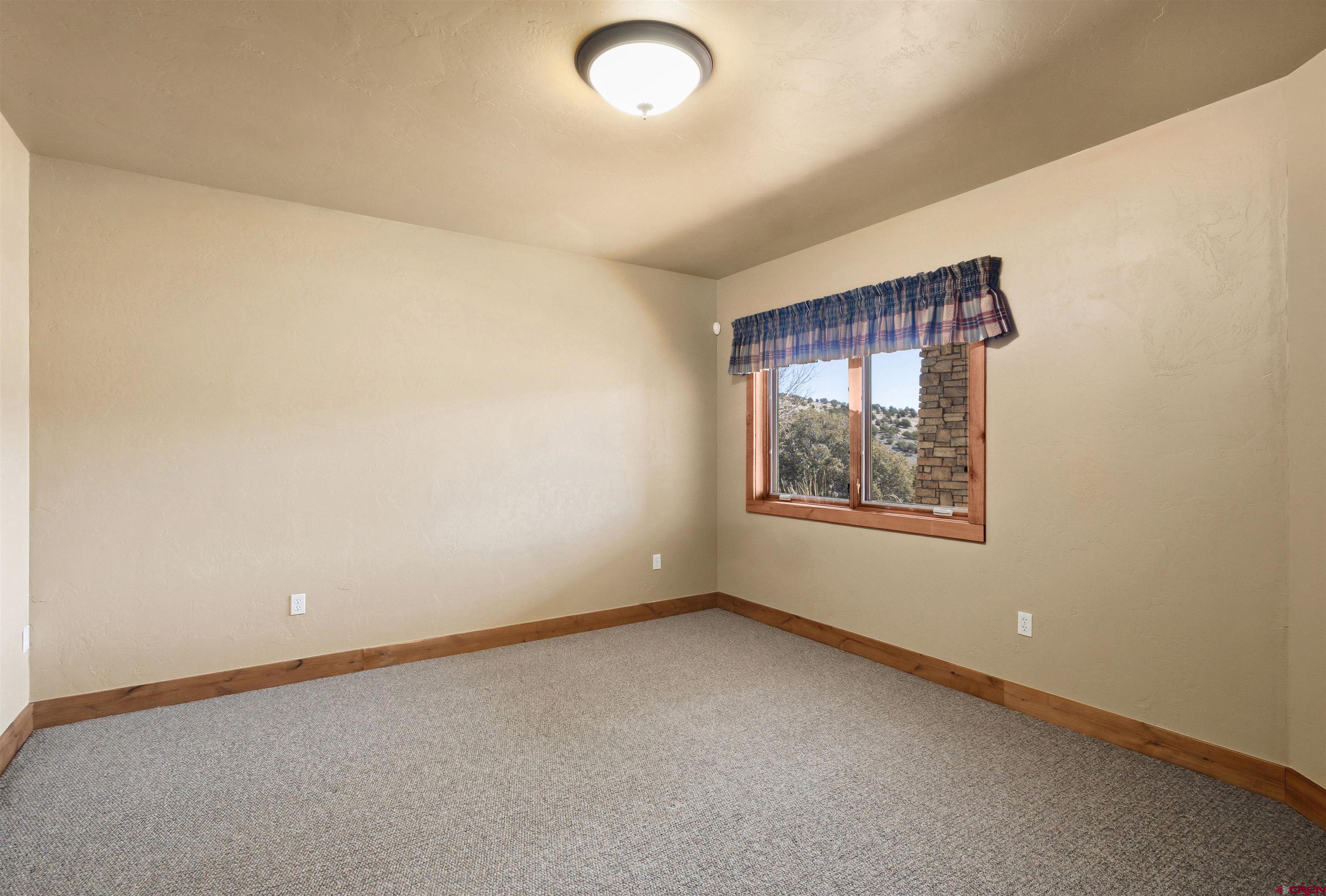 398 Rio Grande Club Trail South Fork, CO 81154 - Photo 23 of 45