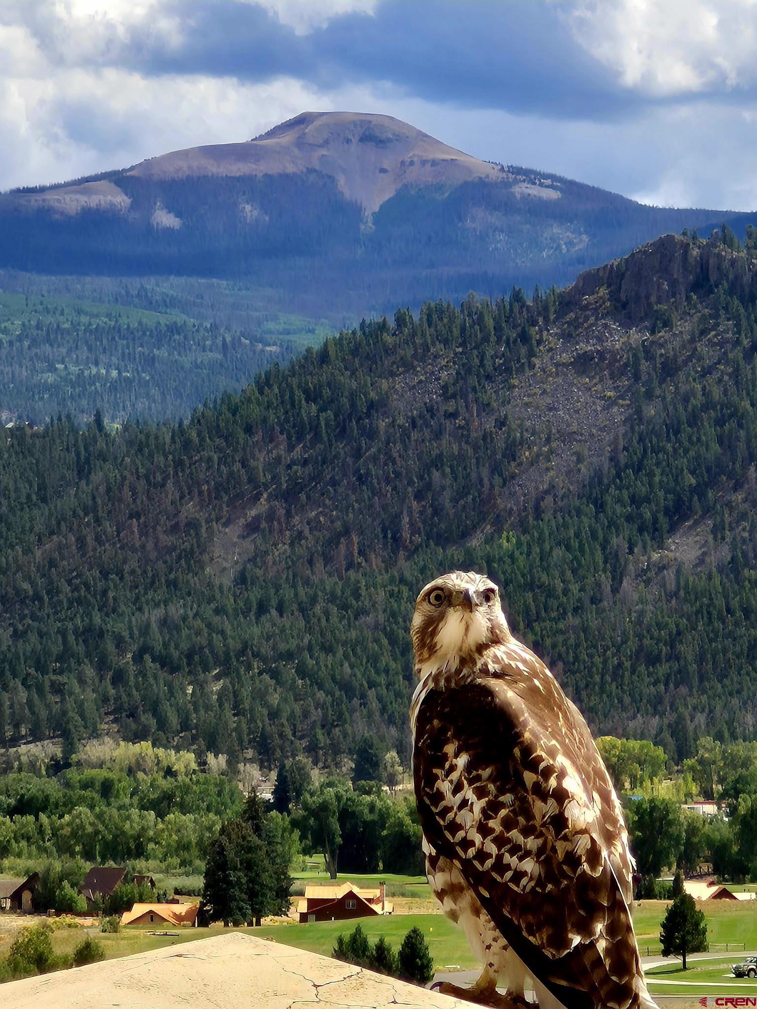 398 Rio Grande Club Trail South Fork, CO 81154 - Photo 4 of 45 Daily Visitor
