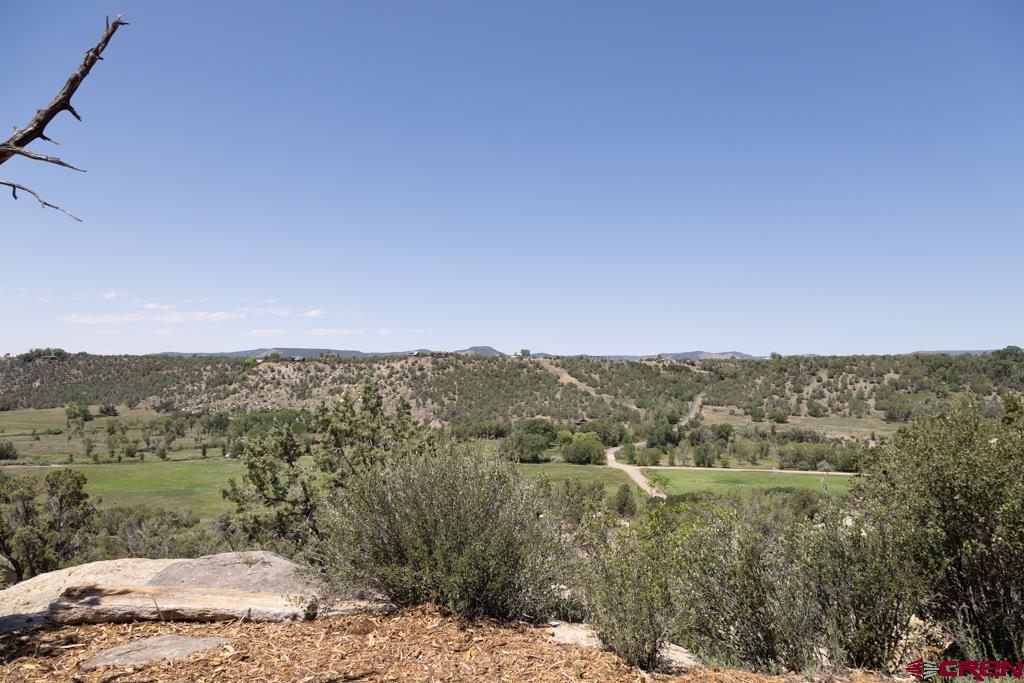 1241 Thoroughbred Road Durango, CO 81303 - Photo 3 of 35 Gallery Image 3