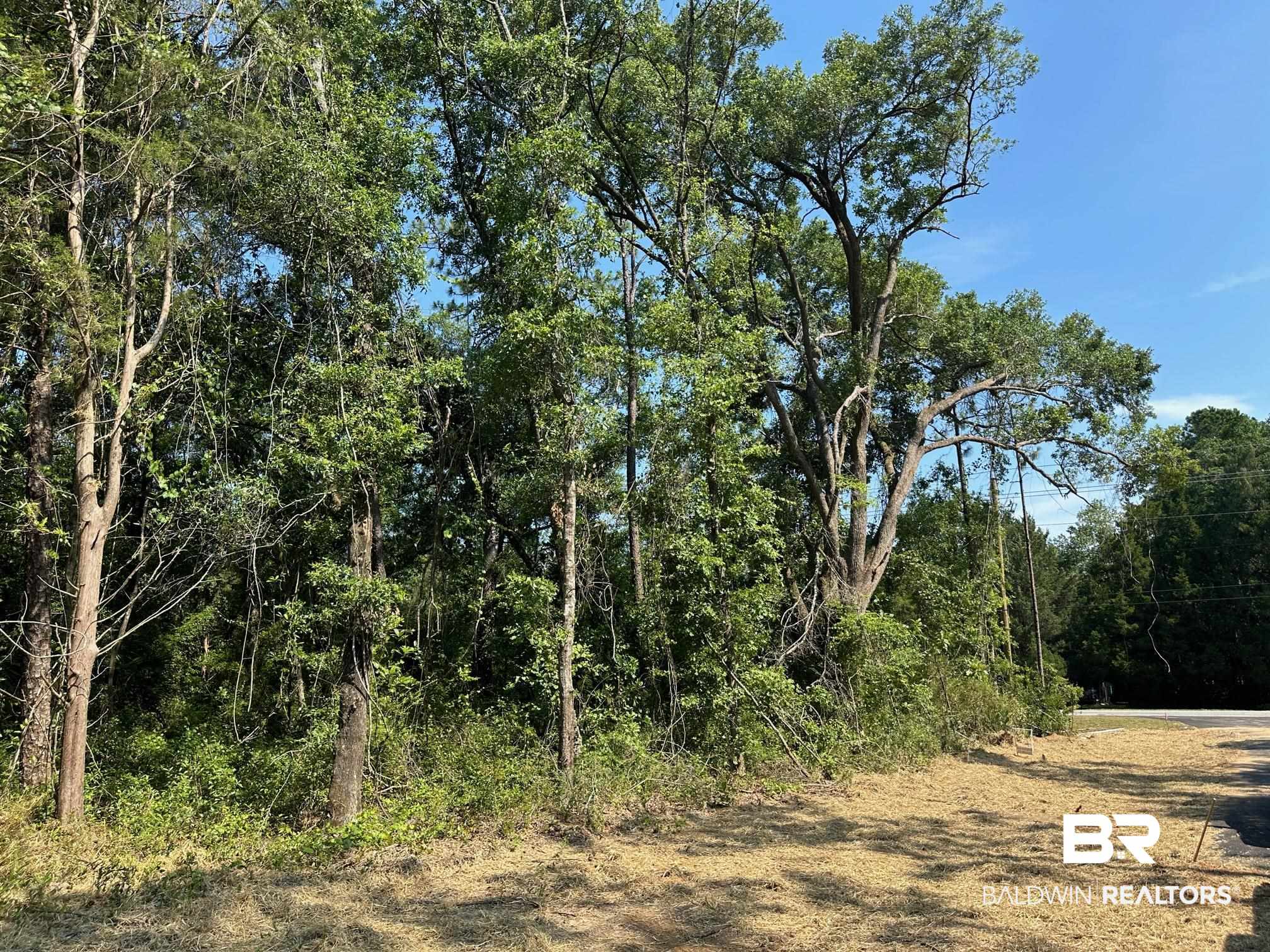 14356 State Highway Silverhill, AL 36576 - Photo 10 of 15
