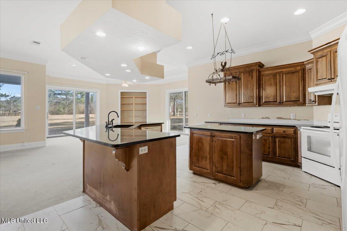 50 Duncan Hatten Road Wiggins, MS 39577 - Photo 10 of 59 10-Kitchen