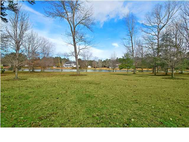 208 Rabbit Run Lane Summerville, SC 29486 - Photo 7 of 24 Additional Photo