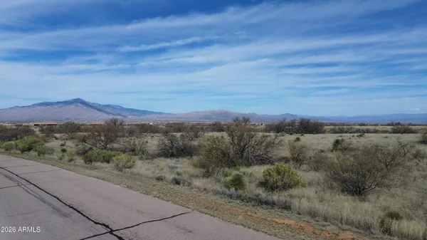 a view of a city with lush green forest