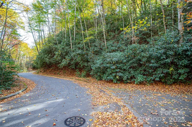 a view of a yard with plants and trees