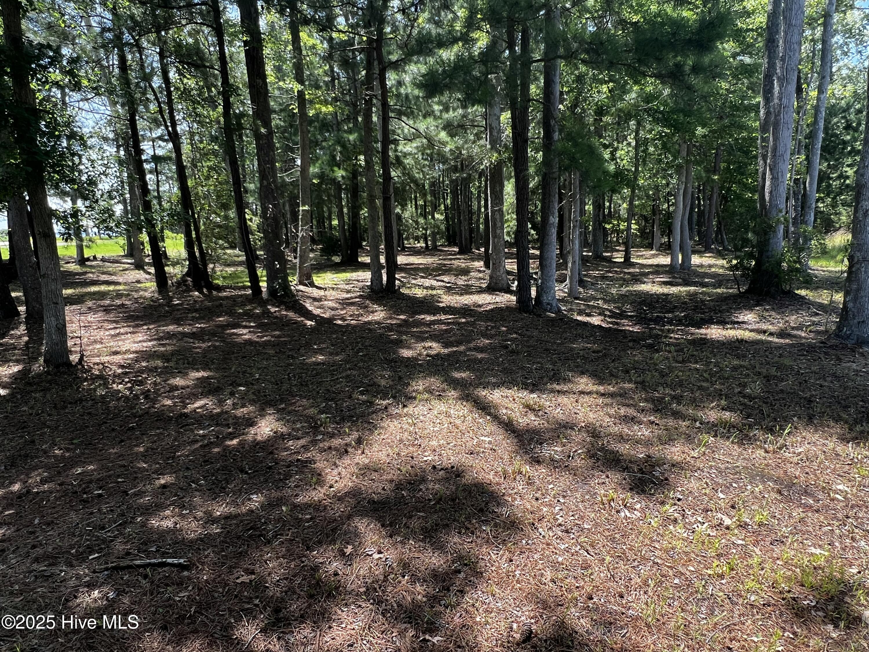 Lot 7 Commodore Point Belhaven, NC 27810 - Photo 16 of 25 Building lot across the road
