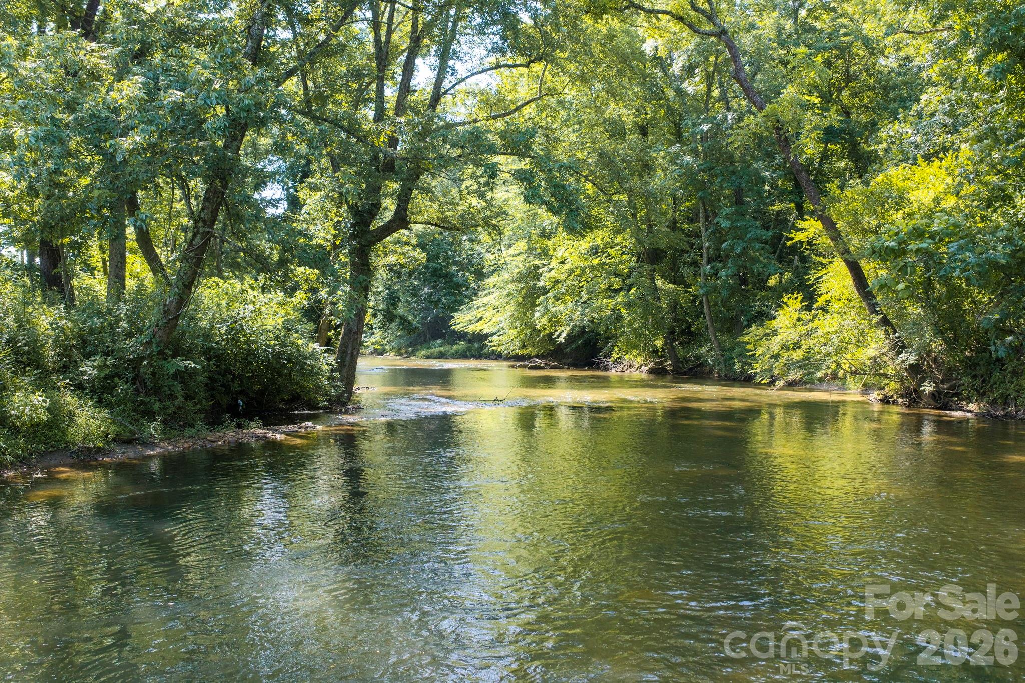 10 Old Turnpike Road Mills River, NC 28759 - Photo 35 of 40