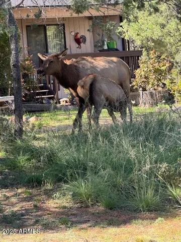 a view of outdoor sitting area with fire pit