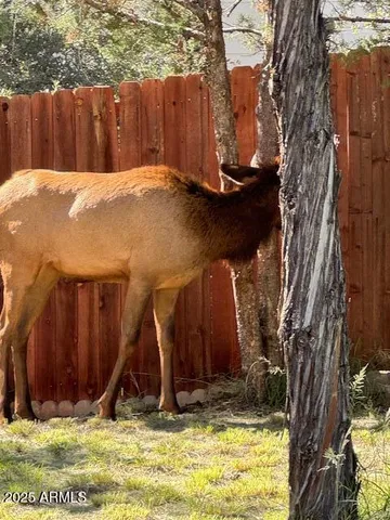 a view of outdoor space and yard