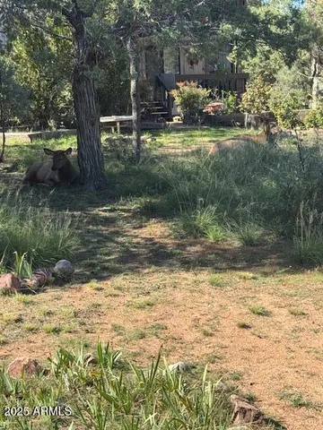 $269,900 | 602 North Easy Street, Unit C, Payson, AZ 85541