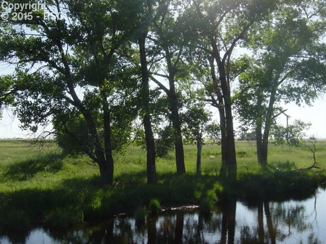 1 South Log Road Peyton, CO 80831 - Photo 21 of 25