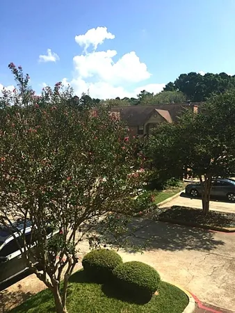 $1,150 | 2402 Sycamore Avenue, Unit B3, Huntsville, TX 77340