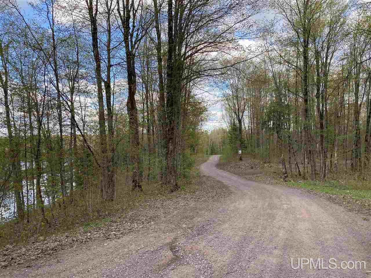 On On Chaney Cove Road, Unit LOT 1 Bessemer, MI 49911 - Photo 18 of 28
