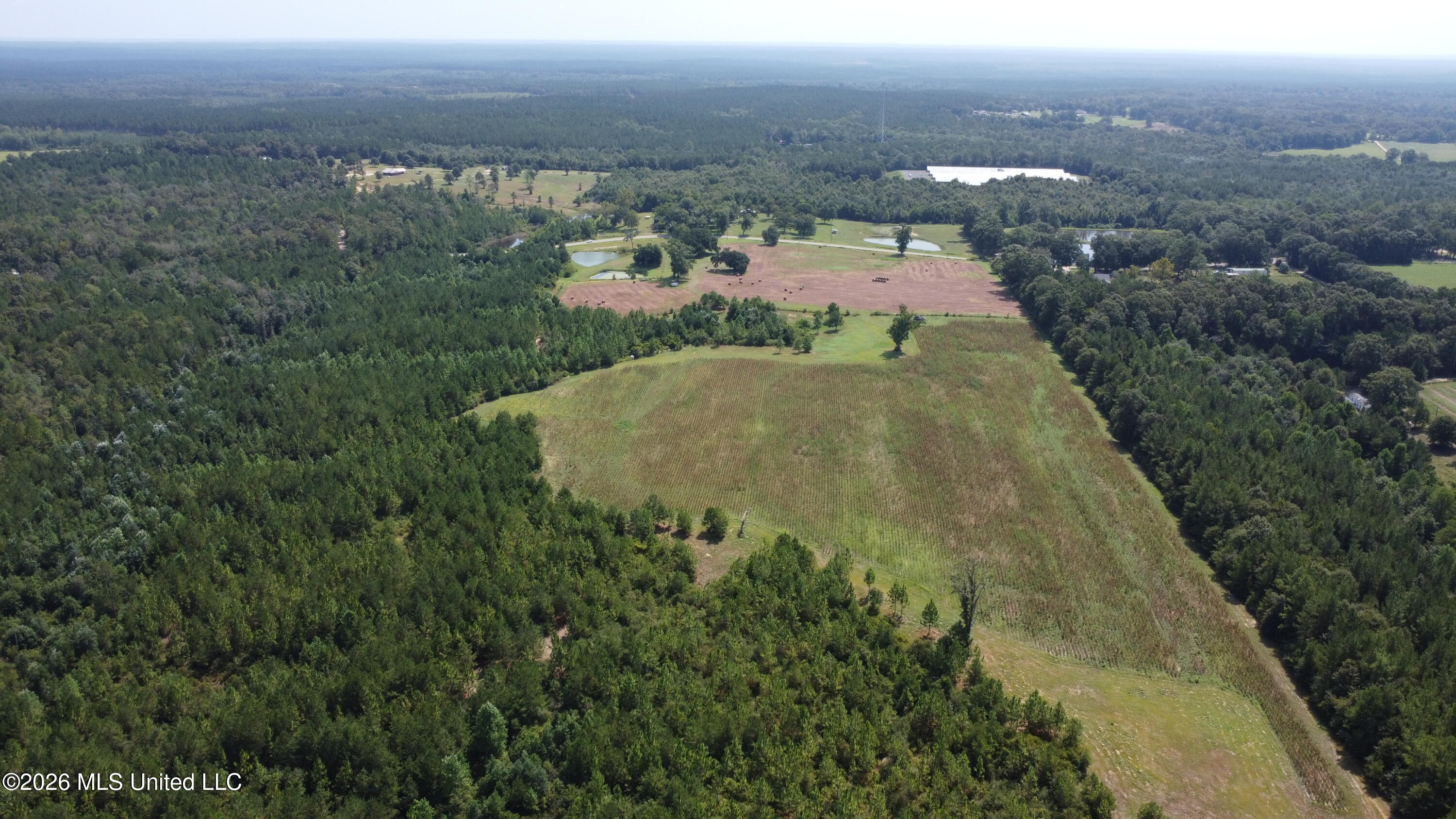 8488 Neely Avera Road Leakesville, MS 39451 - Photo 56 of 59 DJI_0461