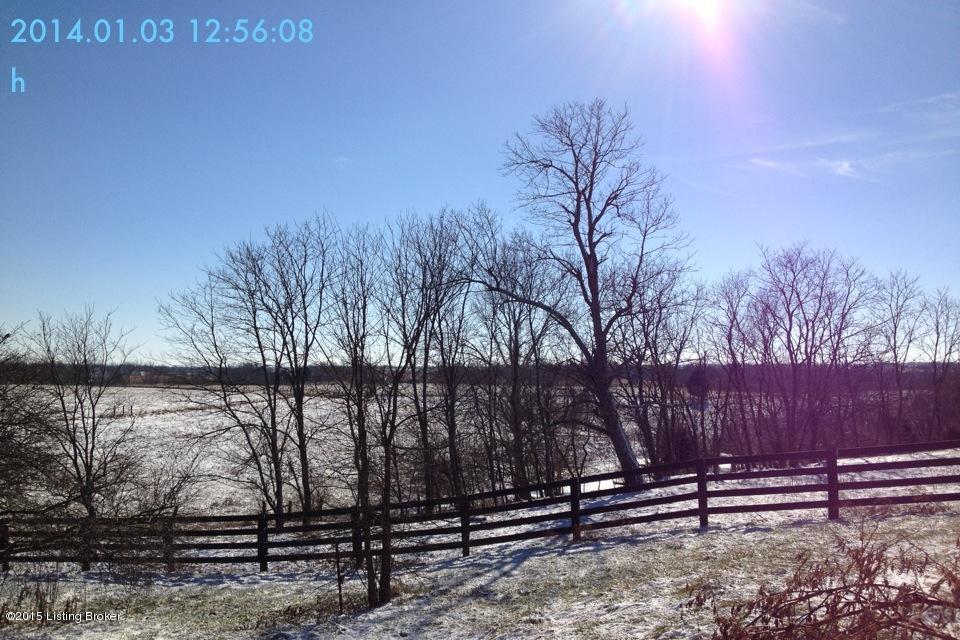253 Kelly Shop Road Springfield, KY 40069 - Photo 13 of 18 Kelly Shop Acreage 1
