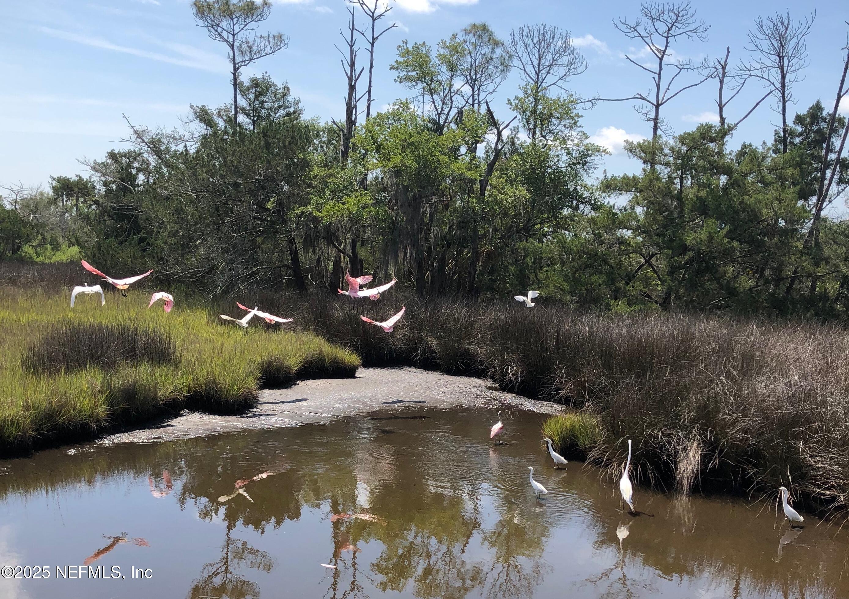 31 Oak Street St. Augustine, FL 32084 - Photo 35 of 41 C03A7C0C-8CB3-4386-A15A-FF75CAA15893