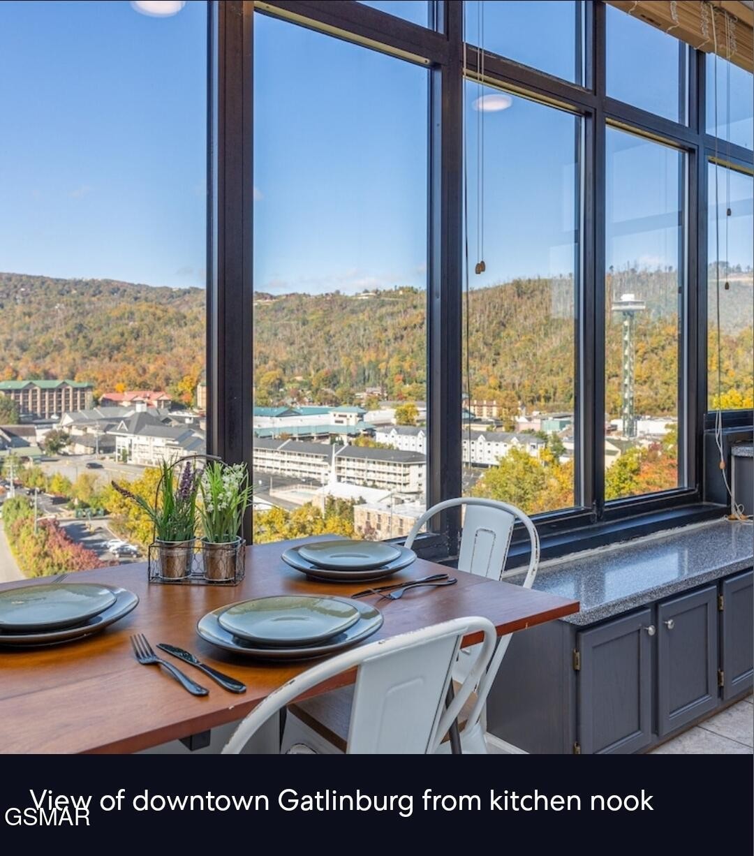 354 East Holly Ridge Road, Unit STE 603 Gatlinburg, TN 37738 - Photo 8 of 43 Gallery Image 8