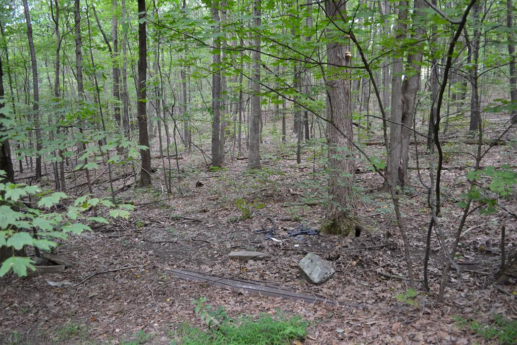 18344 Upper Ridge Road James Creek, PA 16657 - Photo 14 of 18 Gallery Image 14