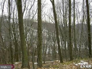 0 Gap Road Macungie, PA 18062 - Photo 1 of 1 Gallery Image 1