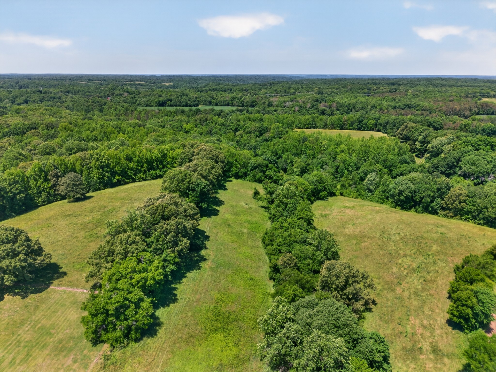 37 Old McLemore Road Taft, TN 38488 - Photo 16 of 57