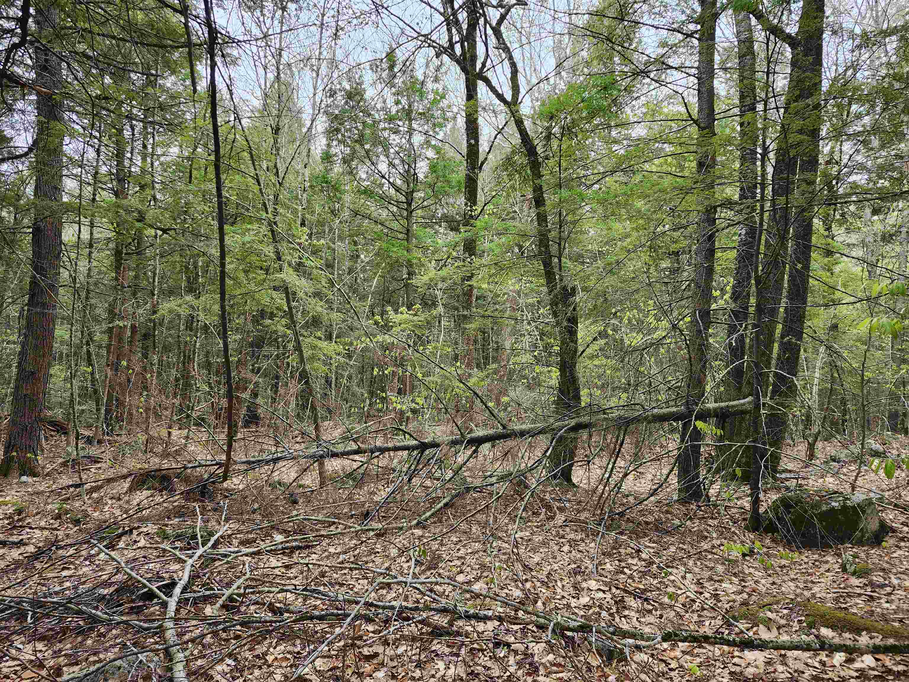 101-15 North Shore Road New Durham, NH 03855 - Photo 12 of 14