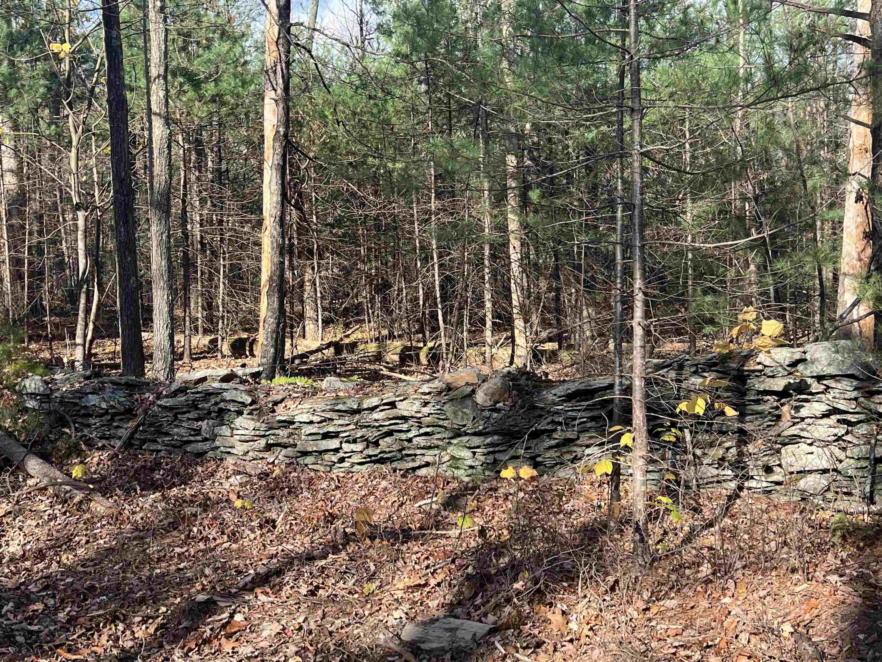 86 Goat Hill Road Saugerties, NY 12477 - Photo 9 of 16 Photo 9