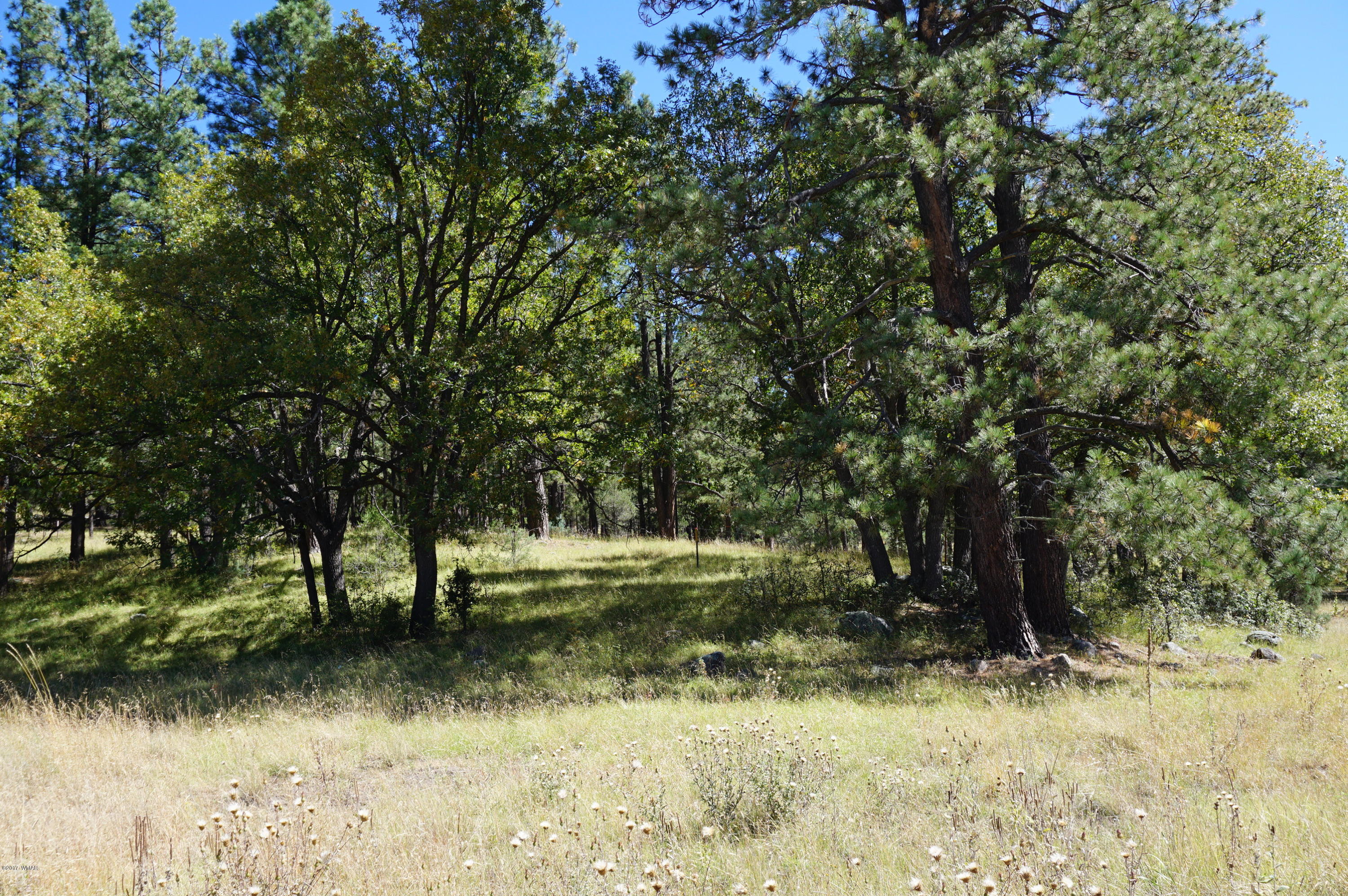 20 Co Road Blue, AZ 85922 - Photo 11 of 37
