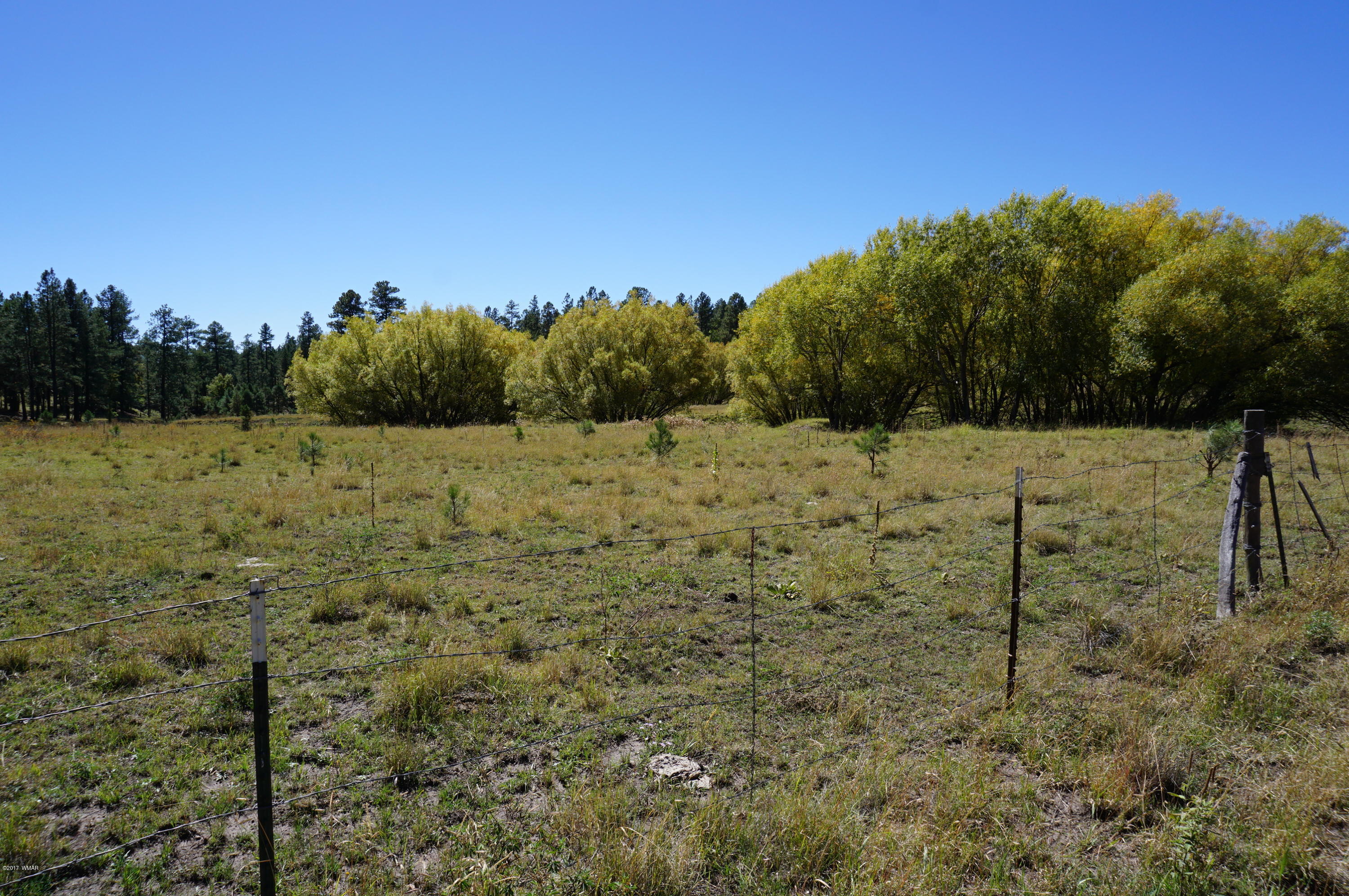 20 Co Road Blue, AZ 85922 - Photo 32 of 37