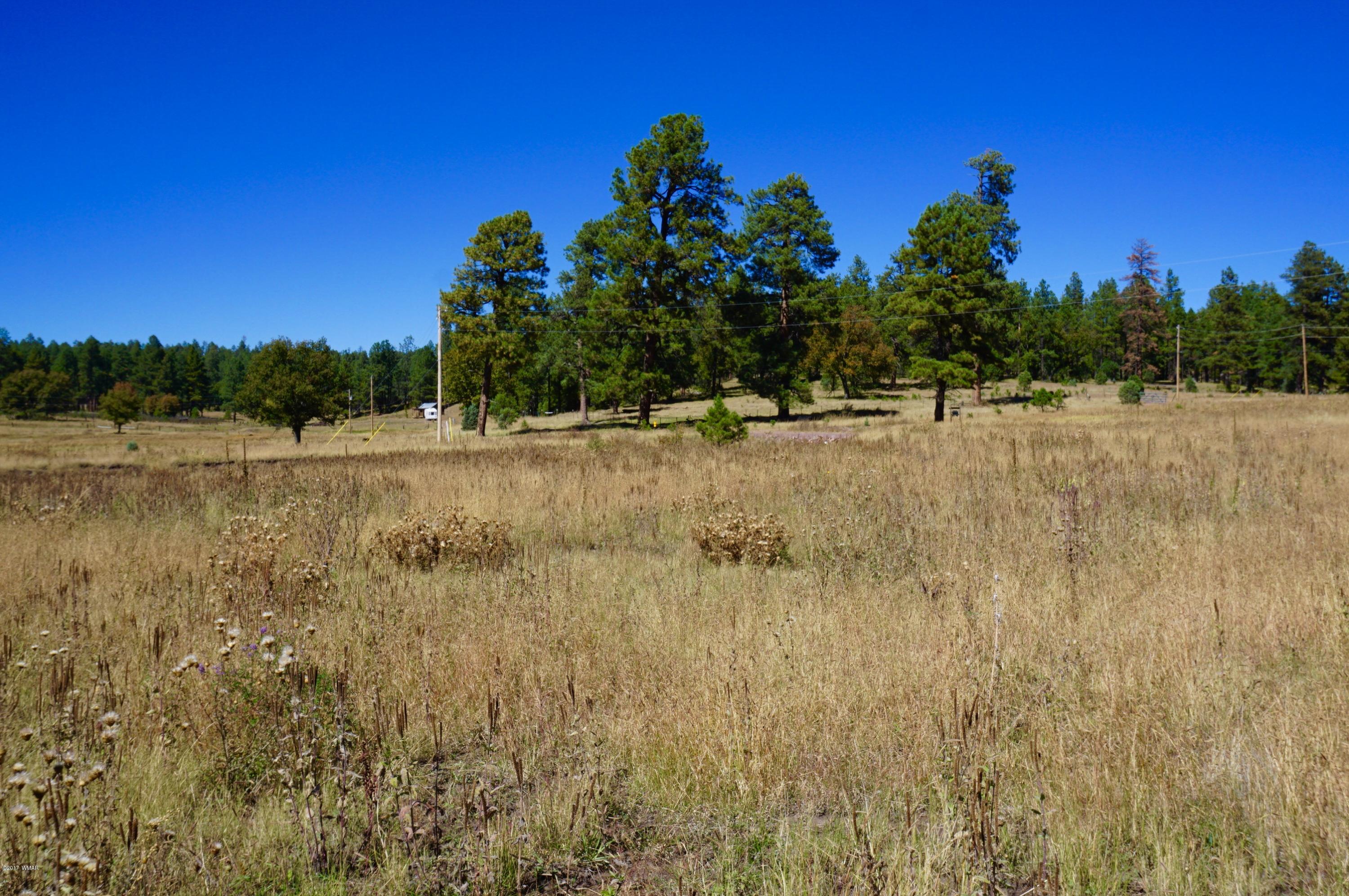 20 Co Road Blue, AZ 85922 - Photo 35 of 37