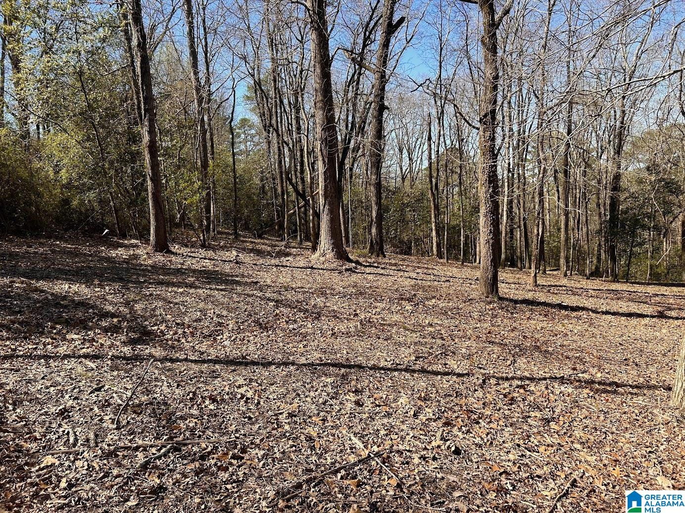 3300 Sherwood Road Birmingham, AL 35223 - Photo 5 of 16
