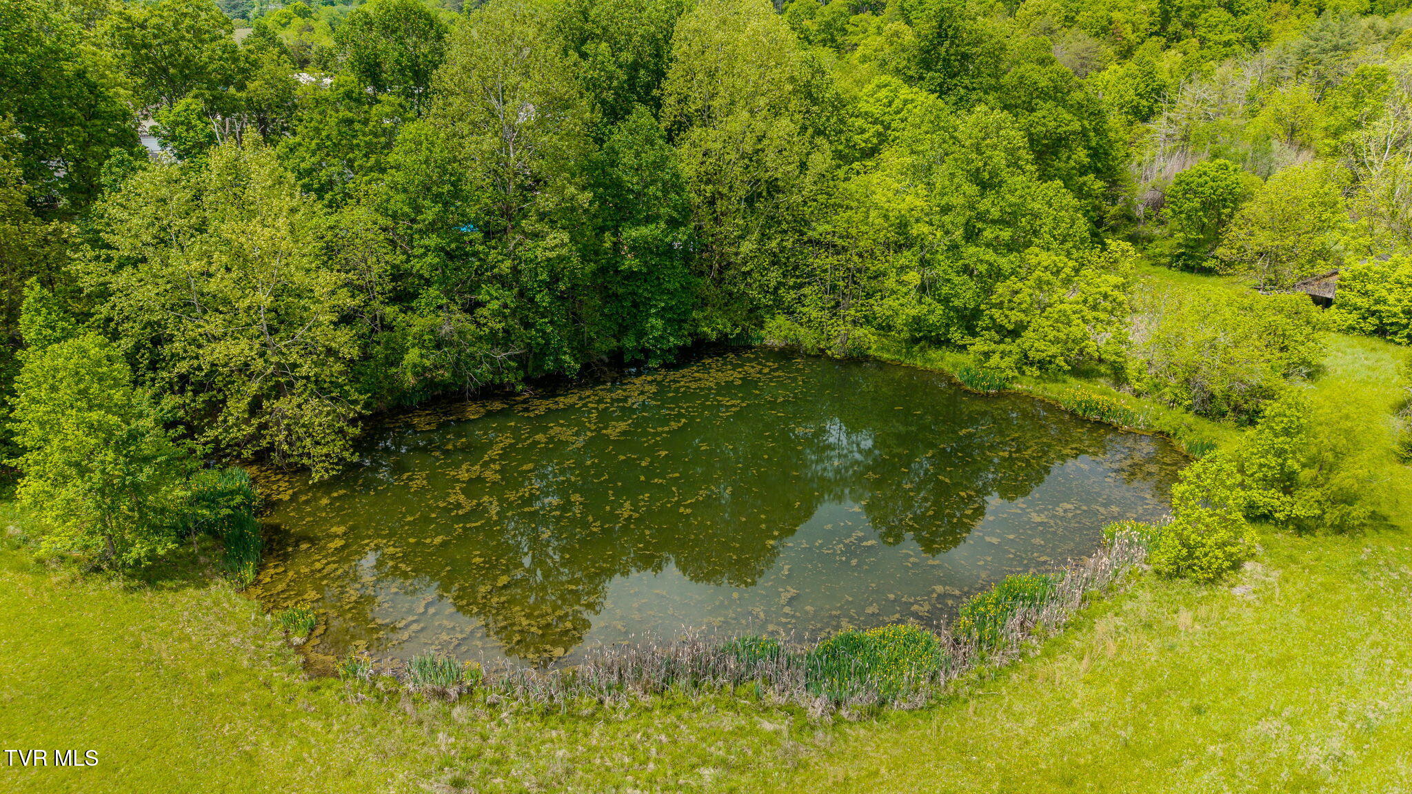 2898 Watauga Road Johnson City, TN 37601 - Photo 44 of 45 27-web-or-mls-DJI_20260430120639_0146_D