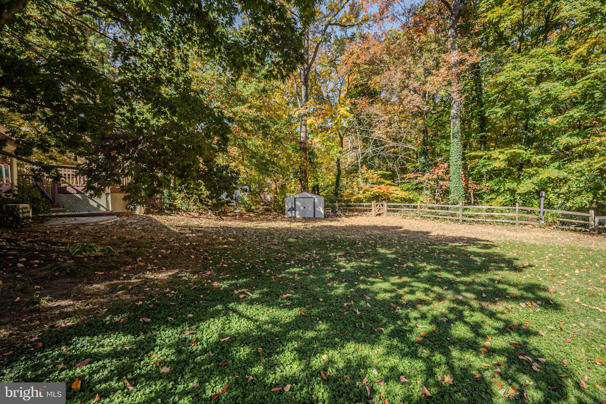 1805 Silverside Road Wilmington, DE 19810 - Photo 44 of 46 Backyard/shed