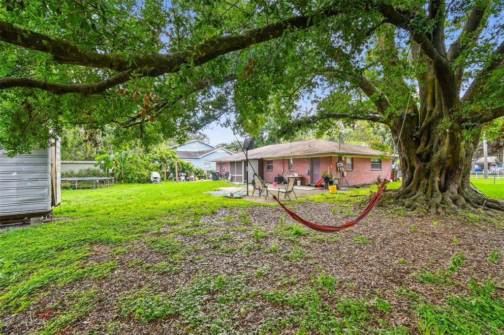 1805 East 139th Avenue, Unit 1 Tampa, FL 33613 - Photo 32 of 44 a view of a house with a backyard