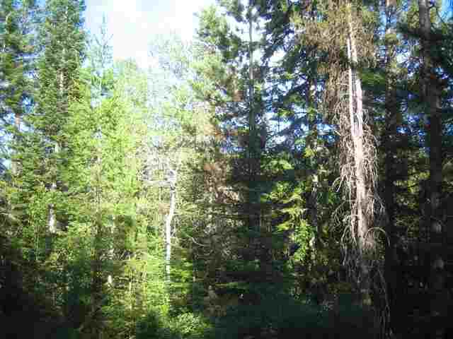 9 Reynolds Creek Road Cusick, WA 99119 - Photo 11 of 14 Gallery Image 11