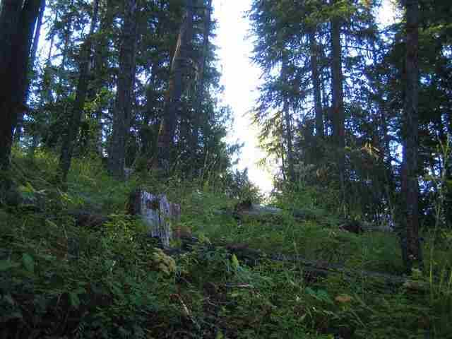 9 Reynolds Creek Road Cusick, WA 99119 - Photo 12 of 14 Gallery Image 12