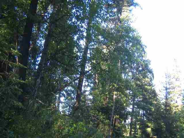 9 Reynolds Creek Road Cusick, WA 99119 - Photo 13 of 14 Gallery Image 13