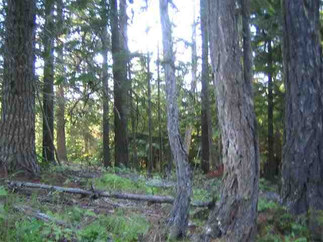 9 Reynolds Creek Road Cusick, WA 99119 - Photo 14 of 14 Gallery Image 14