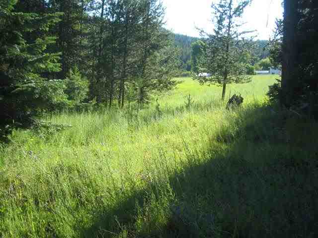 9 Reynolds Creek Road Cusick, WA 99119 - Photo 7 of 14 Gallery Image 7