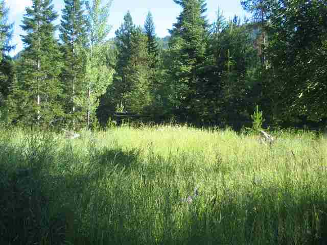 9 Reynolds Creek Road Cusick, WA 99119 - Photo 8 of 14 Gallery Image 8