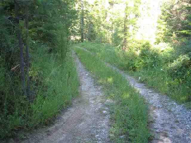 9 Reynolds Creek Road Cusick, WA 99119 - Photo 9 of 14 Gallery Image 9