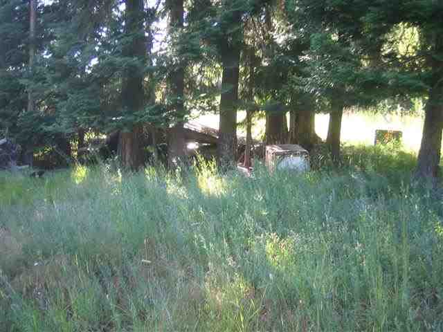 9 Reynolds Creek Road Cusick, WA 99119 - Photo 10 of 14 Gallery Image 10