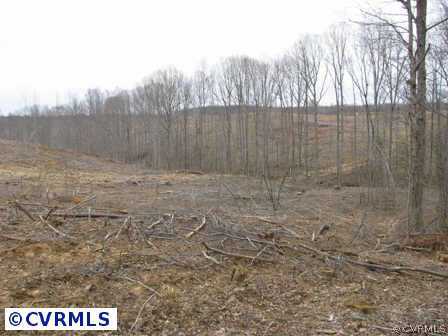 0 Rt 715 Dry Ridge Road Green Bay, VA 23942 - Photo 1 of 7 a view of a dry yard
